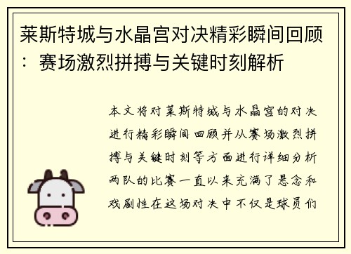 莱斯特城与水晶宫对决精彩瞬间回顾：赛场激烈拼搏与关键时刻解析