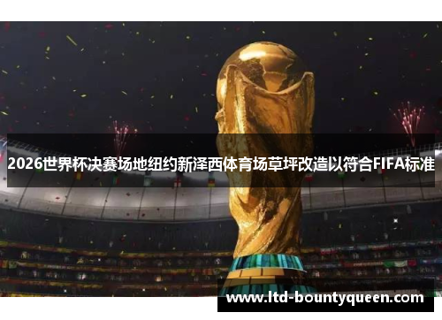 2026世界杯决赛场地纽约新泽西体育场草坪改造以符合FIFA标准